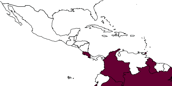 map of Apoica strigata     Richards, 1978